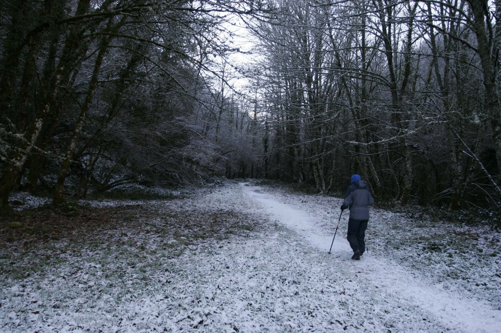 Ecoturismo en Muniellos